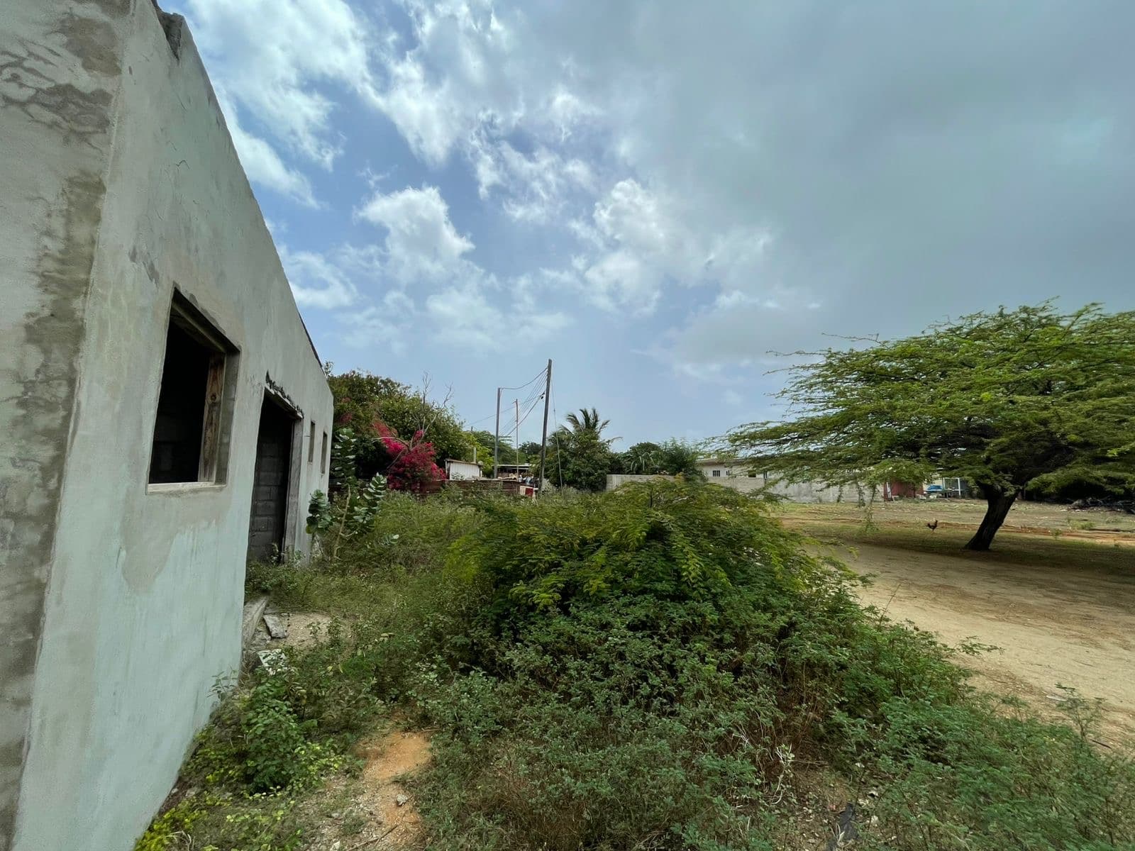 House under construction - Madiki photo 22