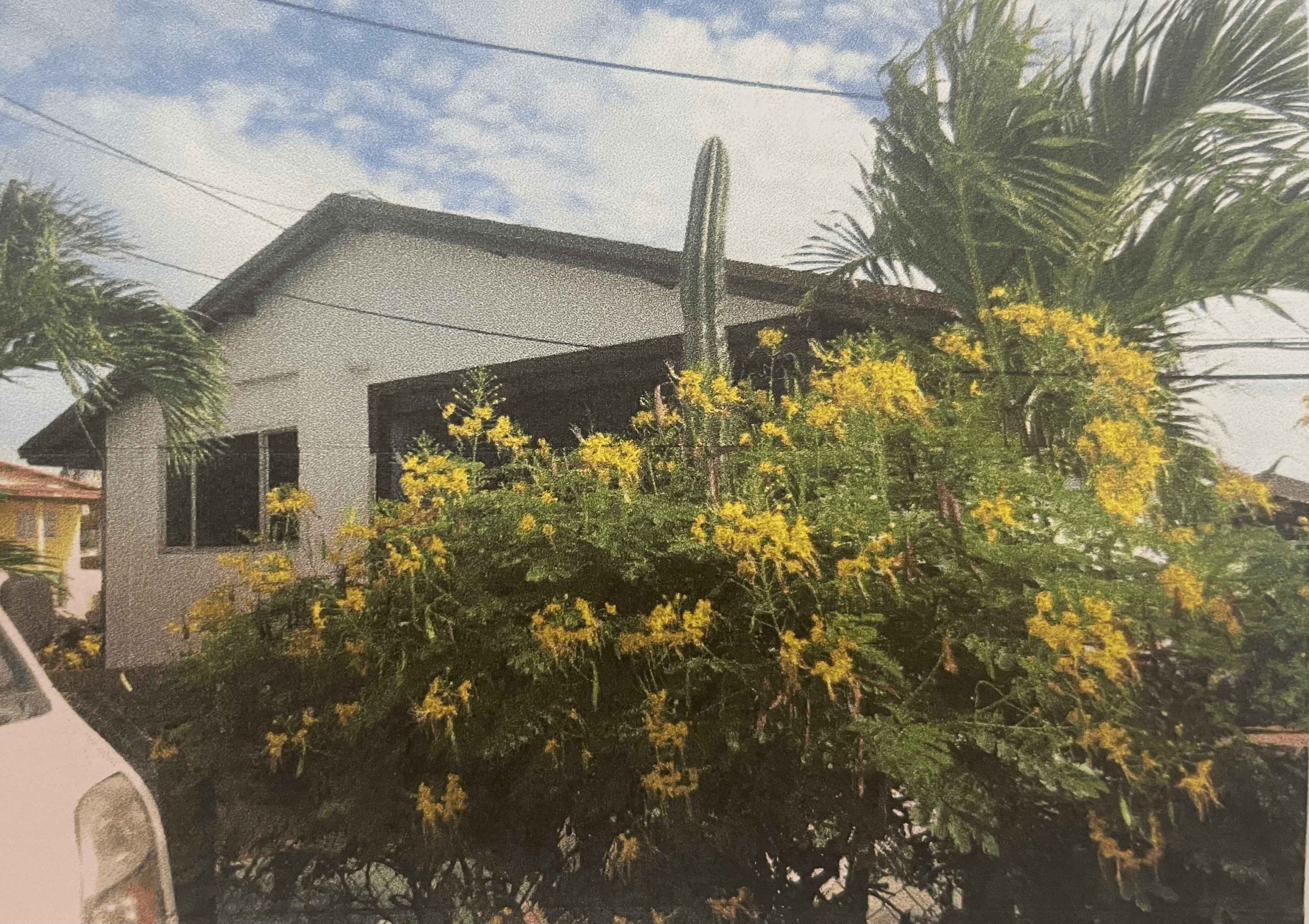 House For Sale - Piedra Plat 69A & 69B photo 8