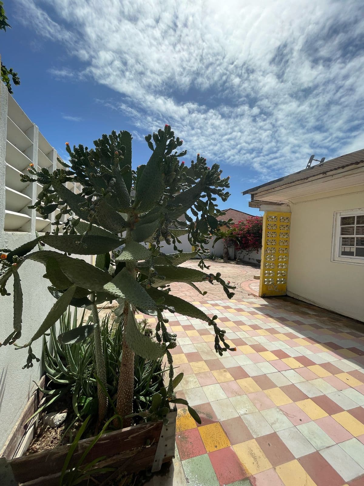 Charming House For Sale - Savaneta 334 photo 18