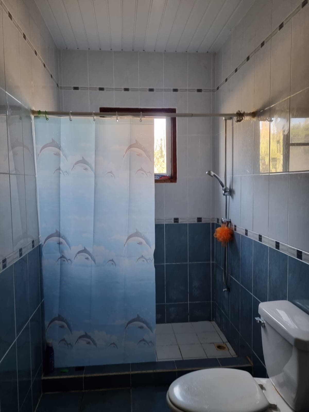 House with Apartment - Macuarima 10K photo 8