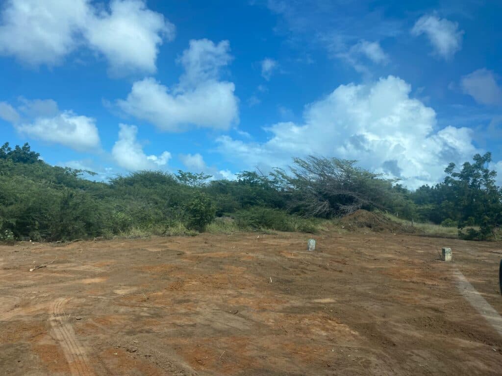 2 Plots - Sabana Blanco