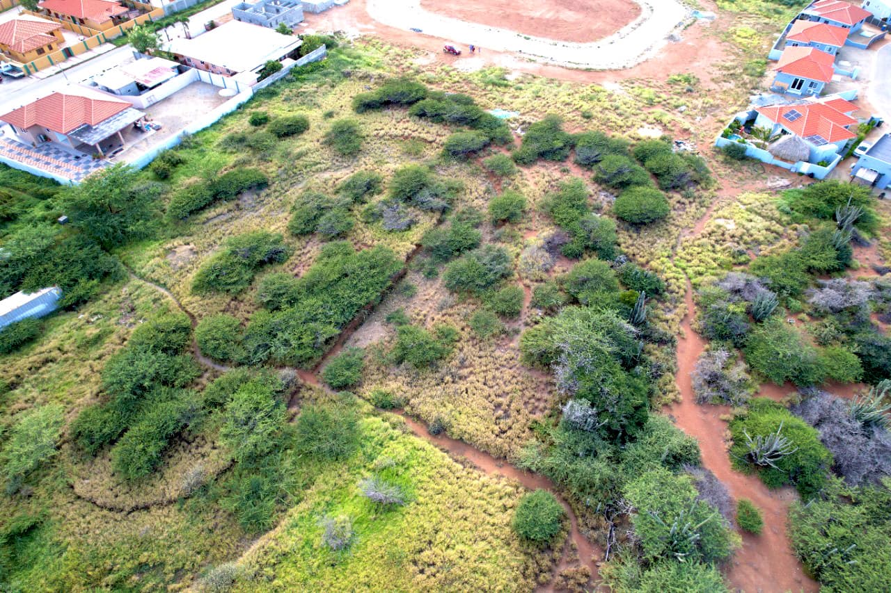 Property Land - Sabana Liber photo 2